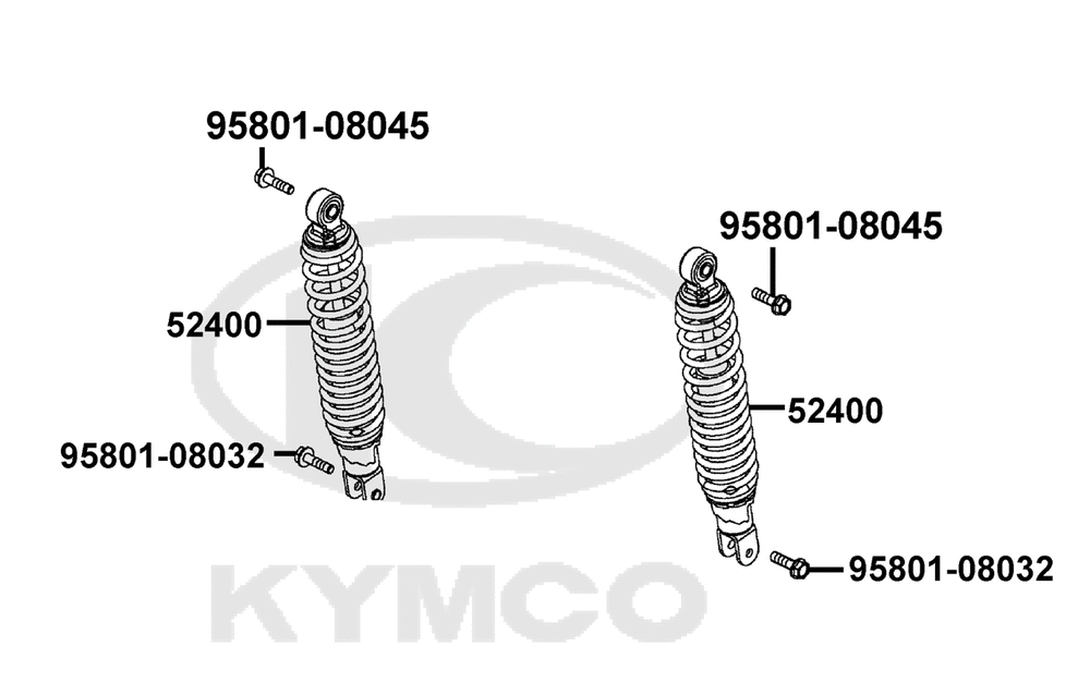 Federbein hinten