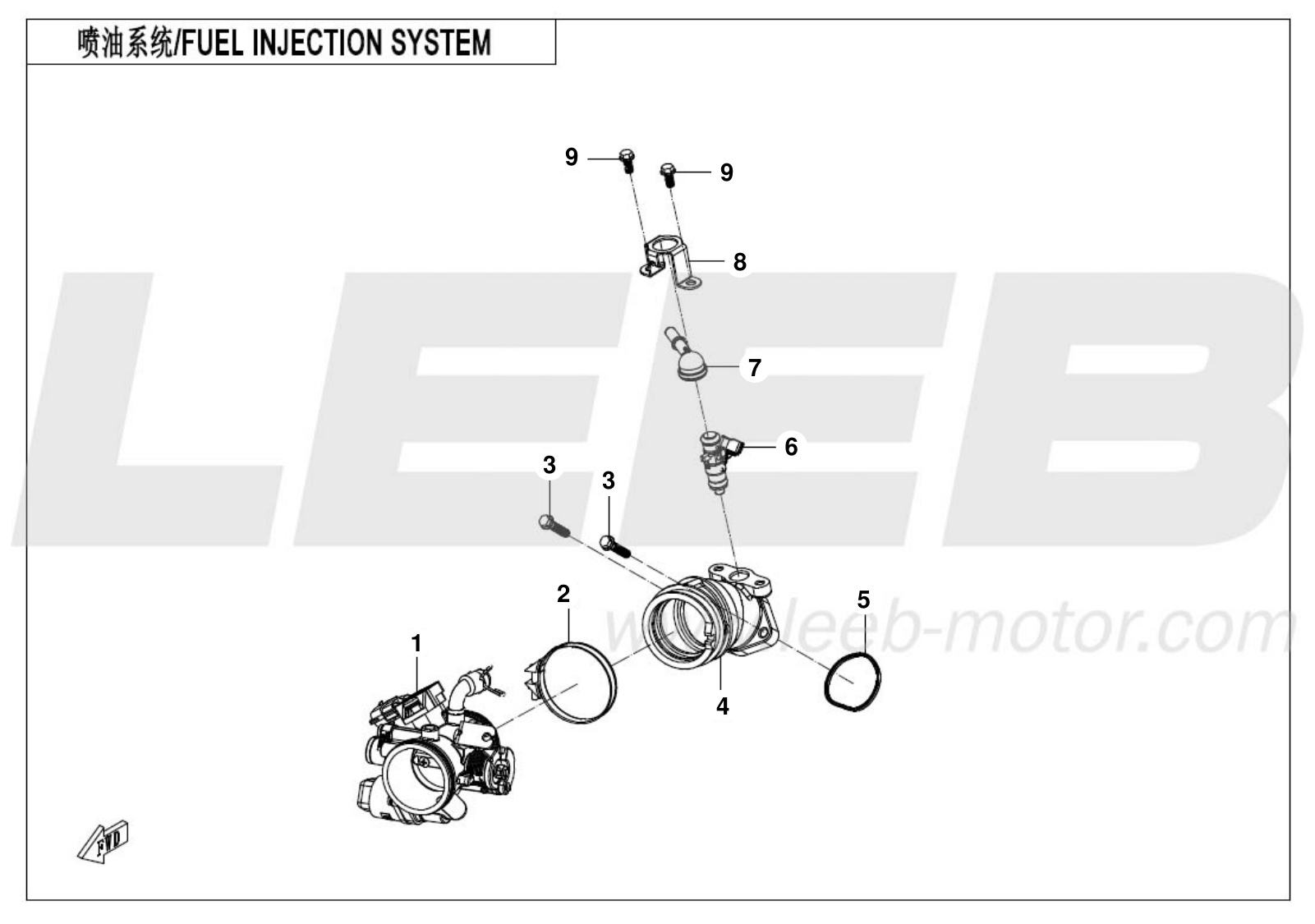 E17 FUEL INJECTION SYSTEM
