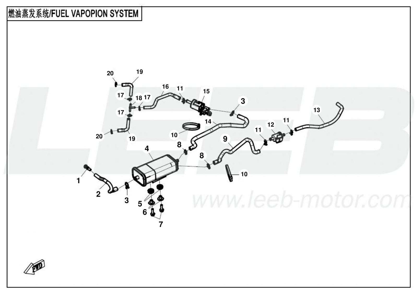 F36 FUEL VAPOPIN SYSTEM