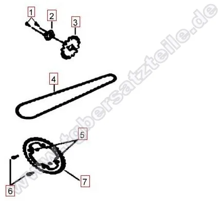 Kettenrad-Kette-Ritzel