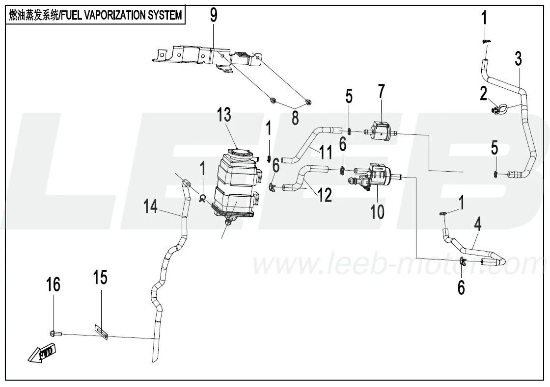 Kraftstoffverdunstungssystem (EVAP) 