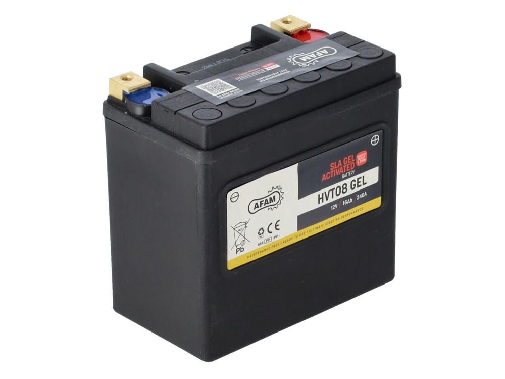 AFAM HVT 08 GEL SLA Batterie 12V 15AH 240A - Einbaufertig (65948 YTX14-BS CTX14-BS HVT08) AFAM HVT 08 GEL SLA Batterie 12V 15AH 240A - Einbaufertig (65948 YTX14-BS CTX14-BS HVT08)