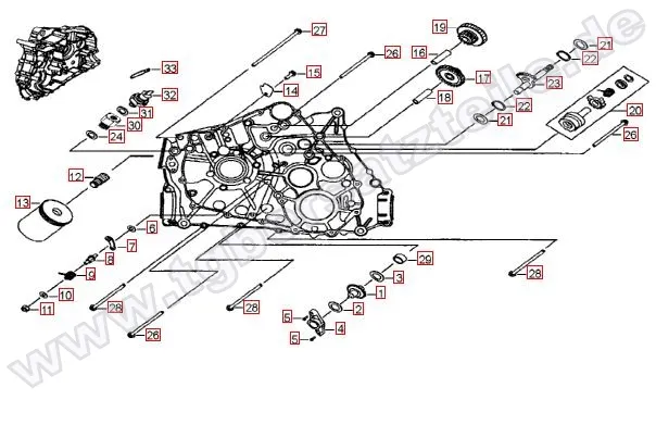 Motorgehäuse links (1)