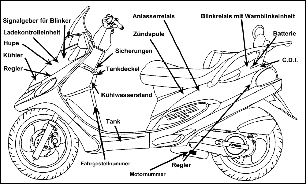 Fahrzeugansicht Fahrzeugansicht
