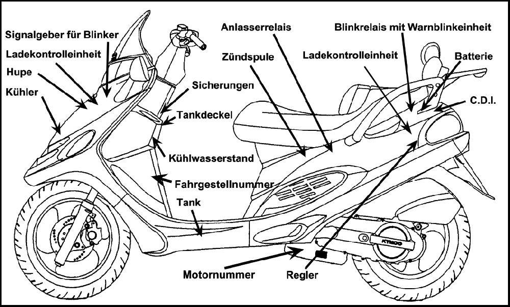Fahrzeugansicht Fahrzeugansicht