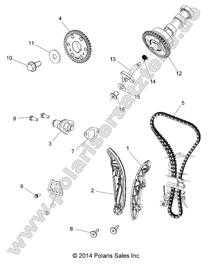 Engine, Cam Chain and Sprocket Engine, Cam Chain and Sprocket