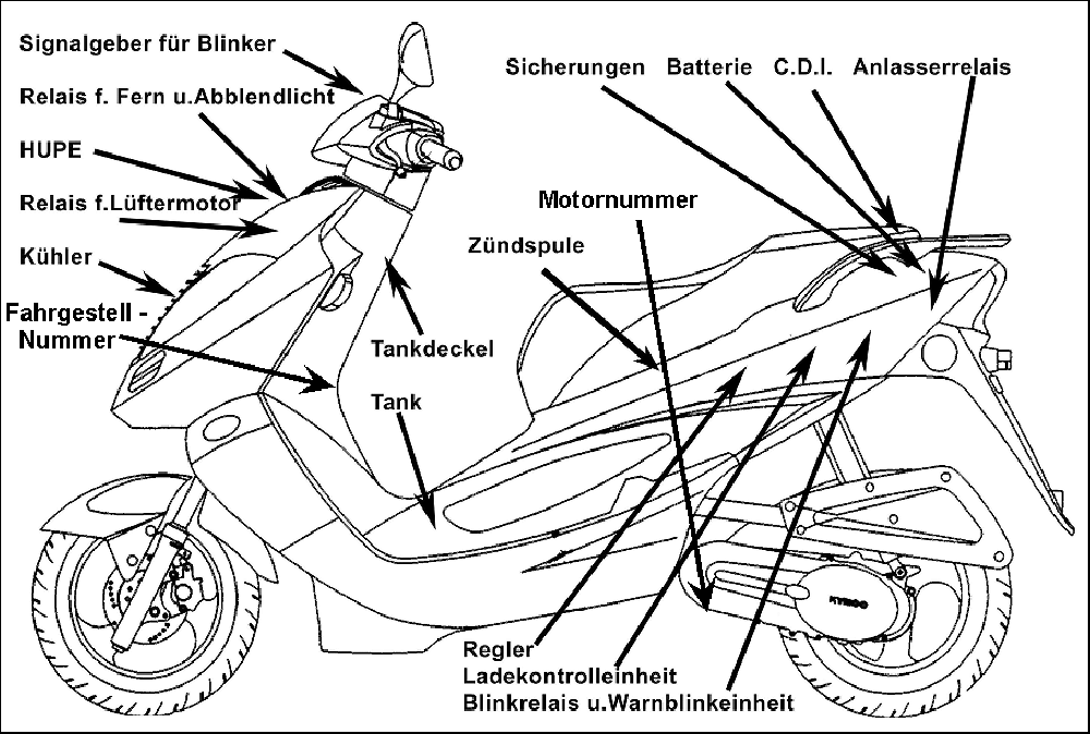 Fahrzeugansicht Fahrzeugansicht