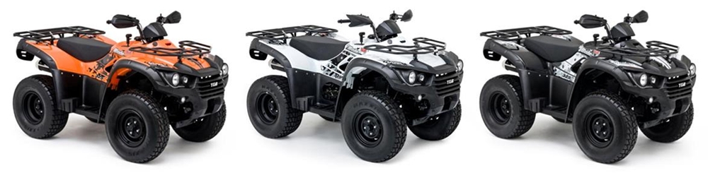 Blade 325 FL onroad 2013